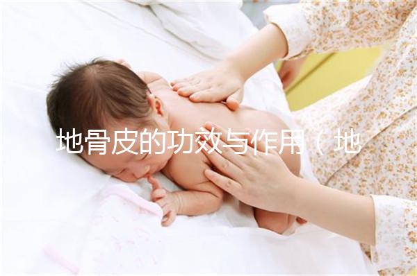 地骨皮的功效與作用(地骨皮的功效與作用與主治)