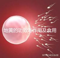 地黃的功效與作用及食用方法（黑豆熟地黃的功效與作用及食用方法）