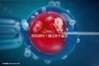 你知道嗎?通過親子鑒定補(bǔ)辦出生證也能給寶寶上戶口