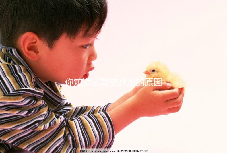 你知道試管空卵泡的原因和癥狀是否會(huì)消失嗎?