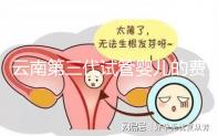 云南第三代試管嬰兒的費用是多少？如何選擇可靠的醫院？這篇文章的策略已經為你做好了