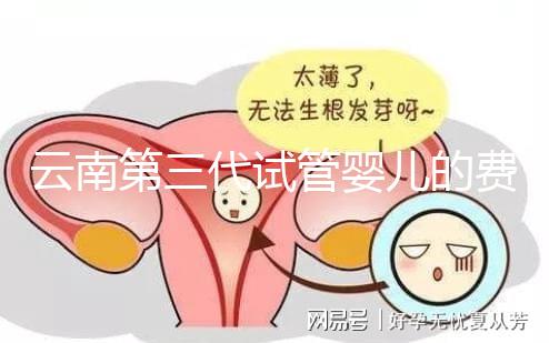 云南第三代試管嬰兒的費用是多少？如何選擇可靠的醫院？這篇文章的策略已經為你做好了