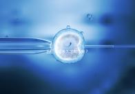 五紅湯喝多久才有效果？讓喝過的人告訴你！