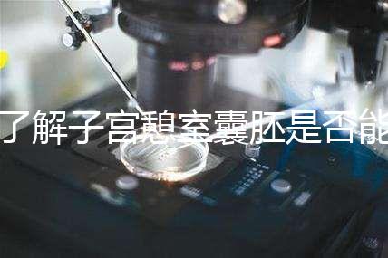 了解子宮憩室囊胚是否能成功移植，這里是否有出血