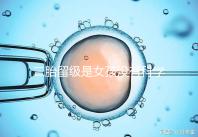 二胎留級是女孩沒有科學依據，出生早晚和性別無關