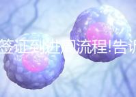 從簽證到進(jìn)周流程!告訴你怎么去馬來西亞做試管嬰兒