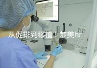 從促排到移植!夢(mèng)美hrc試管嬰兒流程共7步