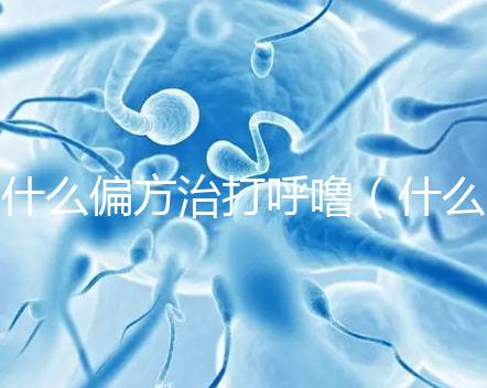 什么偏方治打呼嚕（什么偏方治打呼嚕效果最好）
