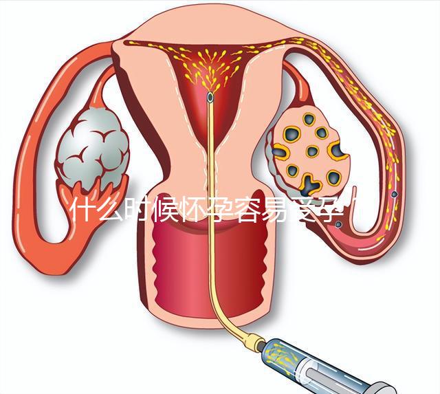 什么時(shí)候懷孕容易受孕?