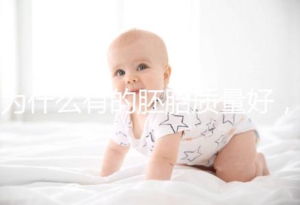 為什么有的胚胎質量好,有的質量差?