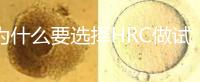 為什么要選擇HRC做試管?這6大優(yōu)勢(shì)看完就知道答案