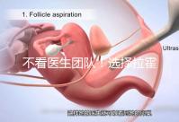 不看醫(yī)生團(tuán)隊(duì)!選擇拉霍亞試管嬰兒中心的優(yōu)勢(shì)還有這些