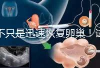 不只是迅速恢復(fù)卵巢！試管取卵后吃蘿卜的3大好處匯總