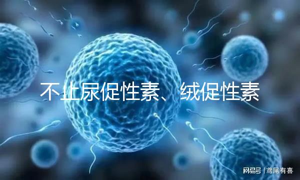 不止尿促性素、絨促性素！試管嬰兒促排卵針還有這些牌子