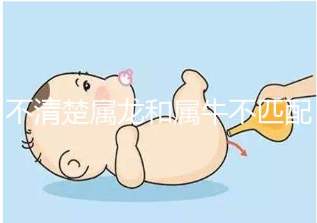 不清楚屬龍和屬牛不匹配戳，再一起看財運就夠了