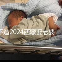 不造2024西藏娶老婆彩禮多少？日喀則、拉薩標準不同戳