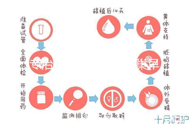 專治停經(jīng)、絕經(jīng)、卵巢早衰?利維愛(ài)的作用與適應(yīng)癥分析