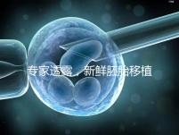 專家透露，新鮮胚胎移植后黃體酮血塊異常，以確保您理解