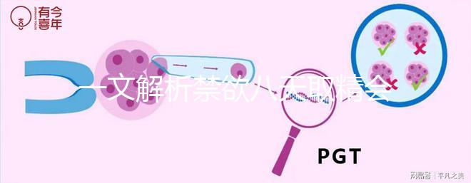 一文解析禁欲八天取精會不會懷孕,影不影響質(zhì)量都有總結(jié)