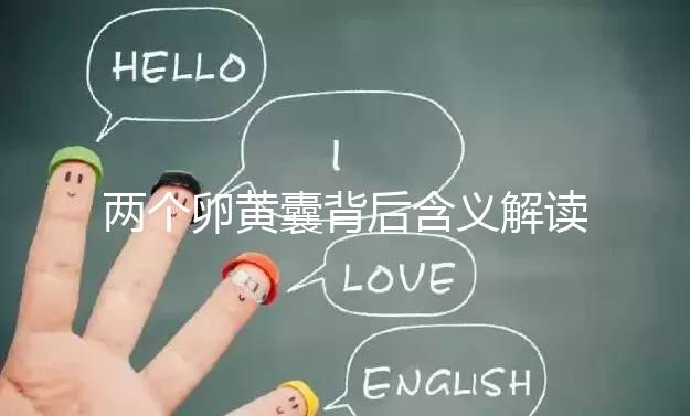 兩個卵黃囊背后含義解讀：雙胞胎、龍鳳胎都有可能！