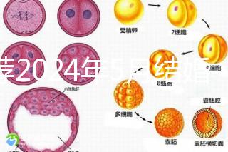 推薦2024年5月結婚的良辰吉日，最吉利的要數…