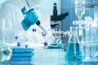 探究黃熱病疫苗的作用，去非洲、南美洲國家接種很有必要