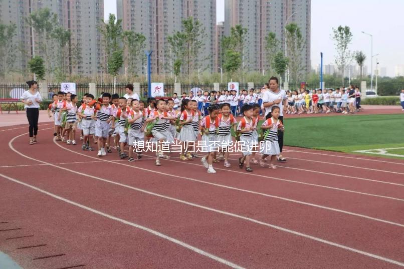 想知道當歸是否能促進卵泡發育，加入棗也能補充內膜