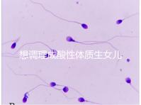 想調(diào)理成酸性體質(zhì)生女兒看過來，這3大食譜科學(xué)又安全