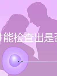 怎樣才能檢查出是否懷孕?