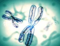 懷疑自然周期卵泡是否不長，張力差是否可以移除囊胚，并揭示答案