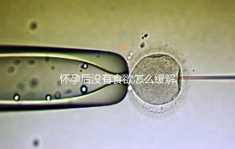 懷孕后沒有食欲怎么緩解？