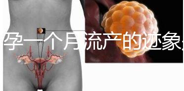 懷孕一個月流產的跡象是什么？