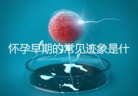 懷孕早期的常見跡象是什么?