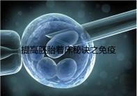 提高胚胎著床秘訣之免疫球蛋白，移植前后注射作用竟不同