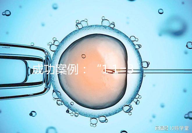 成功案例：“1 1=3”