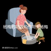 楊梅的功效和作用（楊梅的功效和作用禁忌 營養(yǎng)價值）