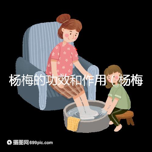 楊梅的功效和作用（楊梅的功效和作用禁忌 營養價值）