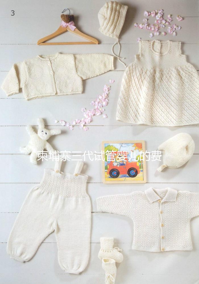 柬埔寨三代試管嬰兒的費用、成功率、流程一文說明！