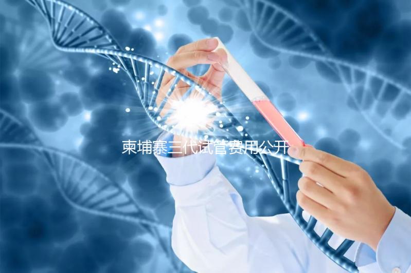 柬埔寨三代試管費(fèi)用公開,不同項(xiàng)目價(jià)格不同