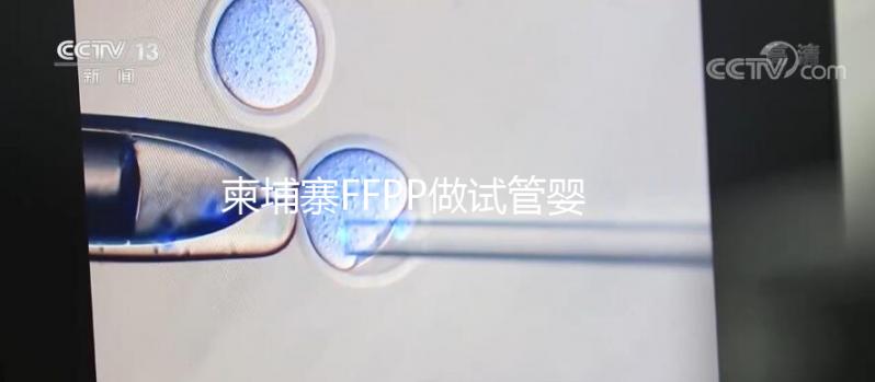 柬埔寨FFPP做試管嬰兒不“包成功”，小心不良中介套路
