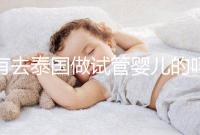 有去泰國(guó)做試管嬰兒的嗎（有去泰國(guó)做試管嬰兒的嗎知乎）