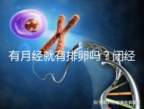 有月經就有排卵嗎？閉經、絕經還能做試管嬰兒嗎？