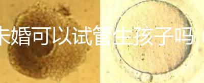 未婚可以試管生孩子嗎(未婚可以試管生孩子嗎 法律)