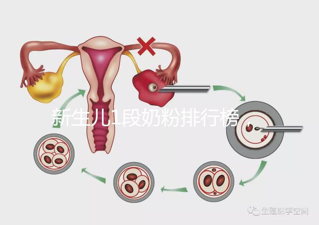 新生兒1段奶粉排行榜,口碑好、價格實(shí)惠的品牌紛紛上榜
