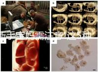 新手寶媽需注意!這5種原因是導致嬰兒腹瀉的罪魁禍首