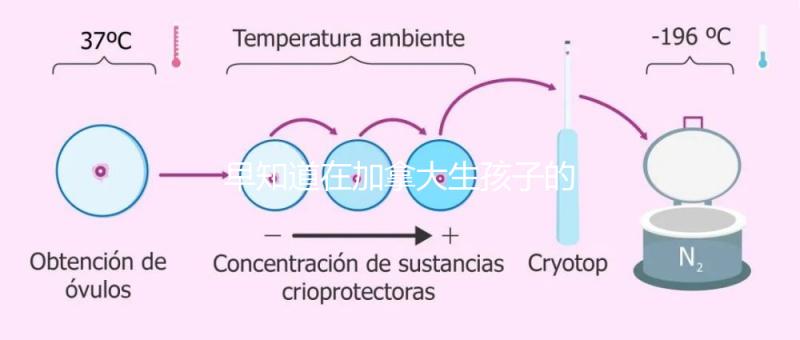 早知道在加拿大生孩子的國籍是什么！最后期限附回國定居