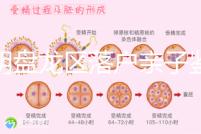 昆明盤龍區落戶親子鑒定在哪里看這，2024流程、費用都有