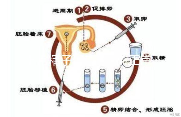 正常精子形態＞4％正常，流產與精子質量不好也有關