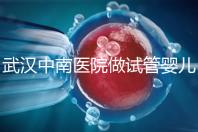 武漢中南醫(yī)院做試管嬰兒需要多少錢：2025年這些試管收費有變動