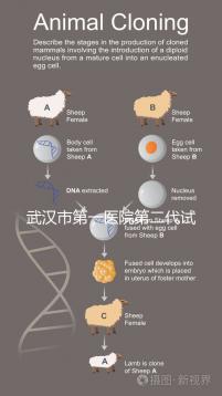 武漢市第一醫院第二代試管怎么樣?2024年助孕成功率數據公布